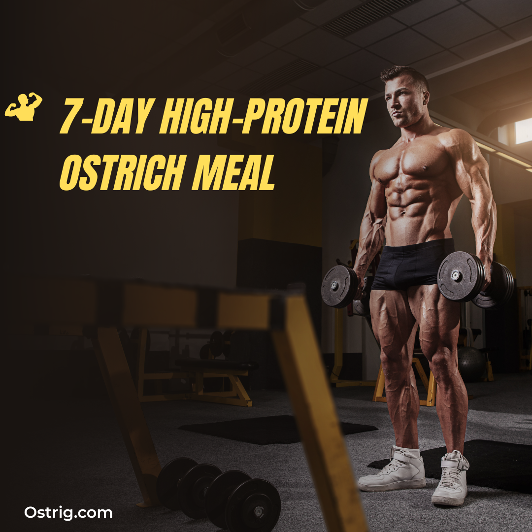 7-Day High-Protein Ostrich Meal Plan For Lean Muscle Gain (2025 Guide)