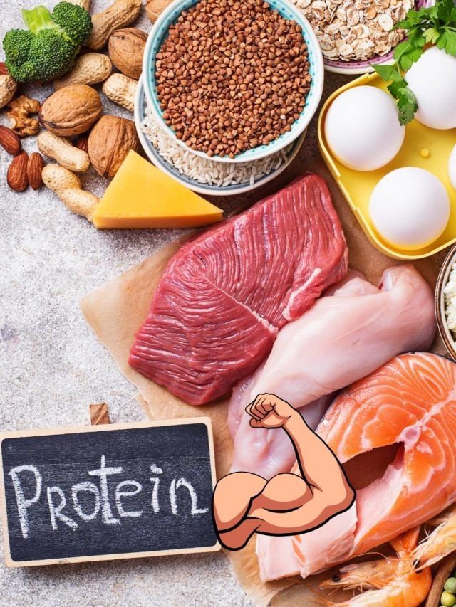 High Protein Foods List